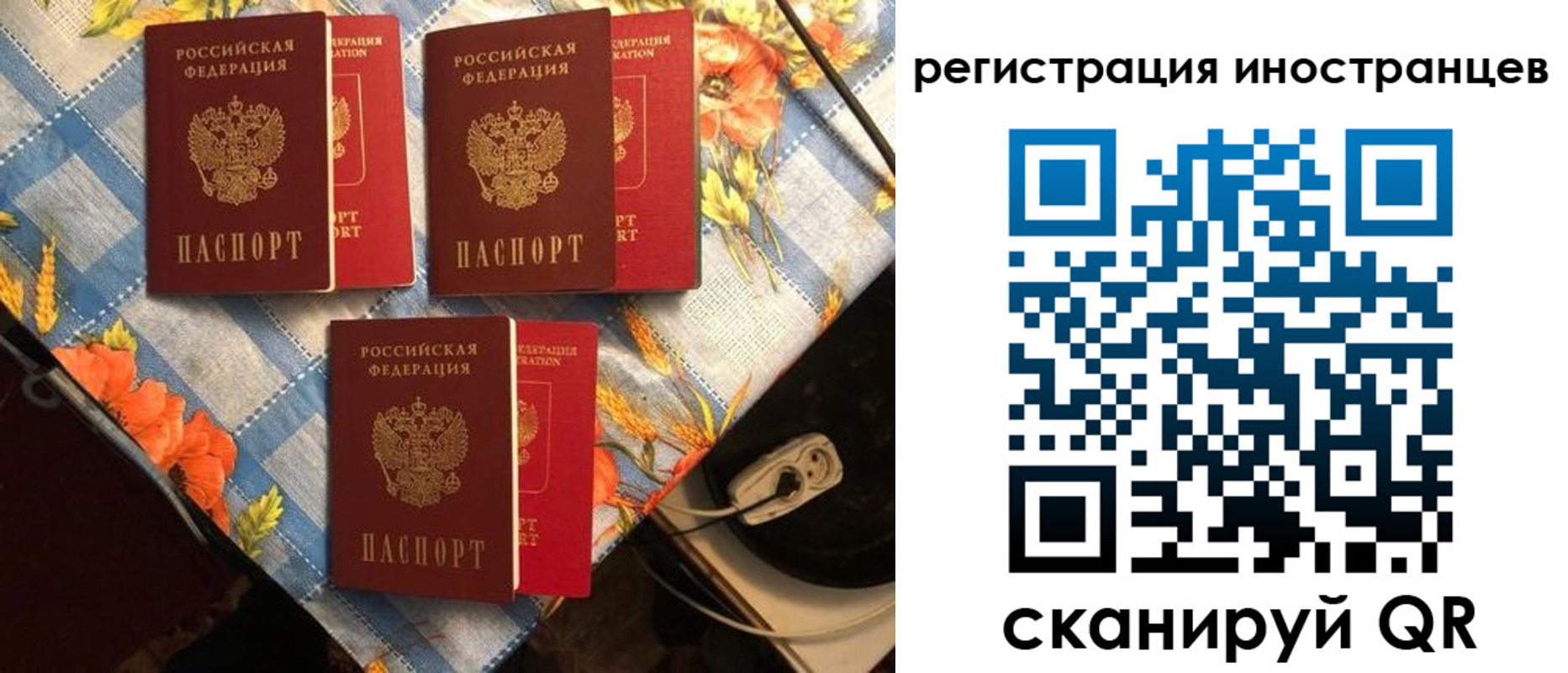 прописка поиск в Котельниково